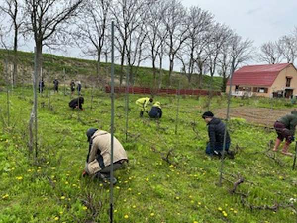 Instagram投稿イメージ2