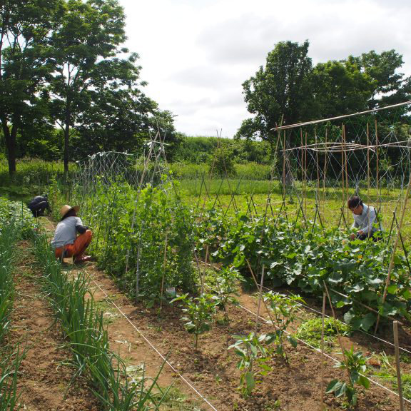 ソーシャルファームプロジェクトのイメージ